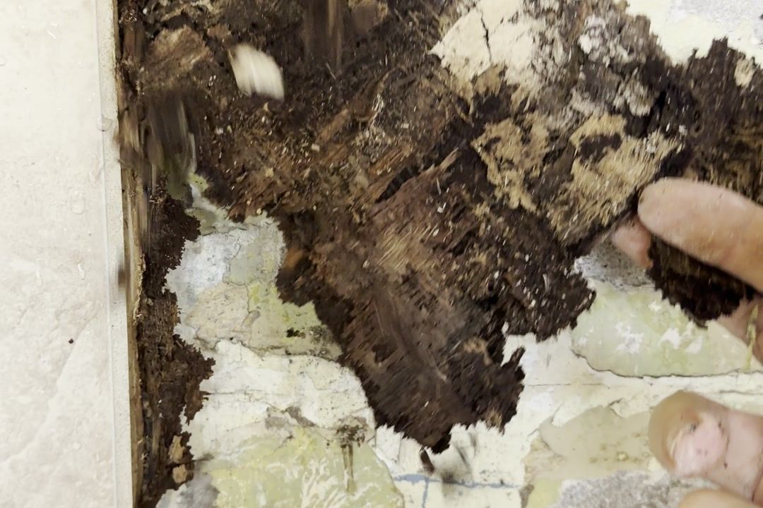Rotten backing exposed behind the old shower tiles